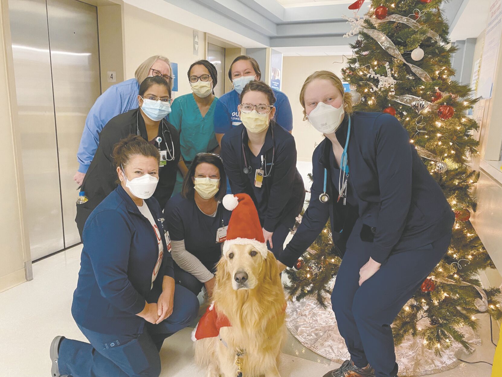 Santa's furriest helper